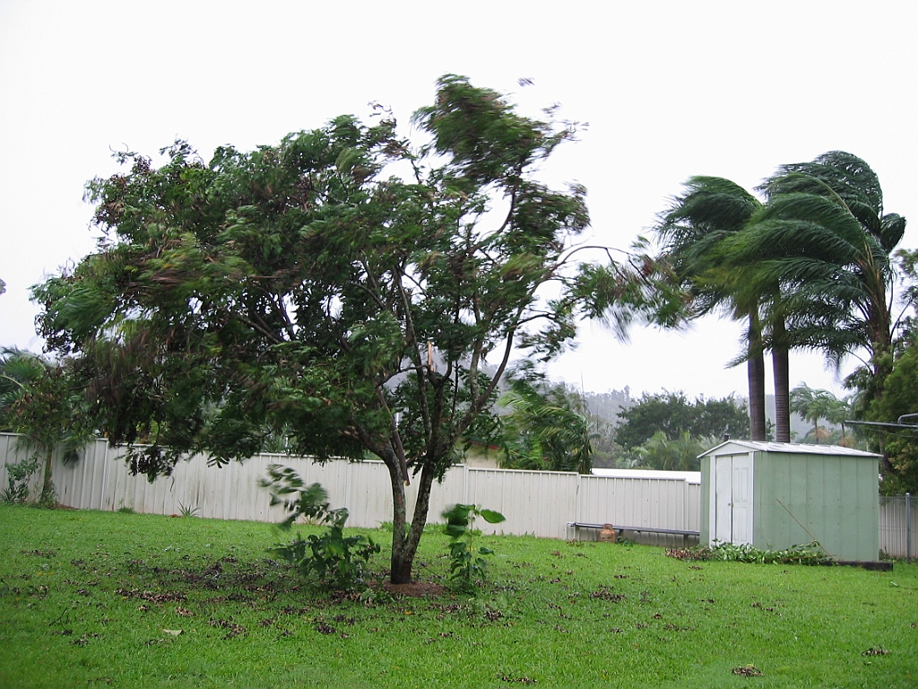 Cairns10 Cyclone Larry.jpg